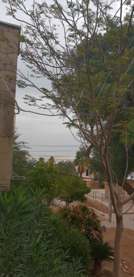 Naama Rooms For Rent Neve Zohar Exterior foto